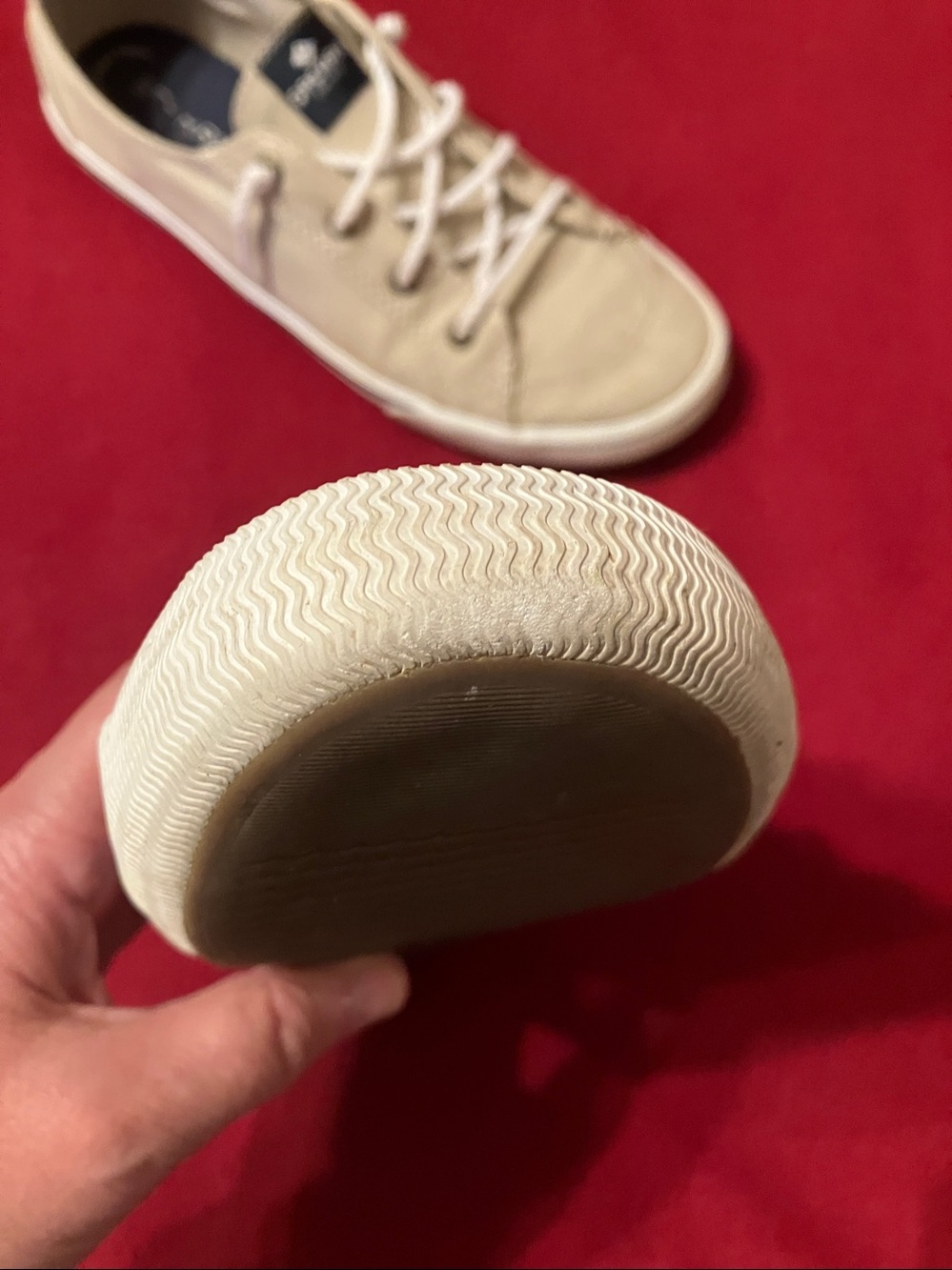 Sperry Canvas Boat Sneakers - Picture 6 of 12